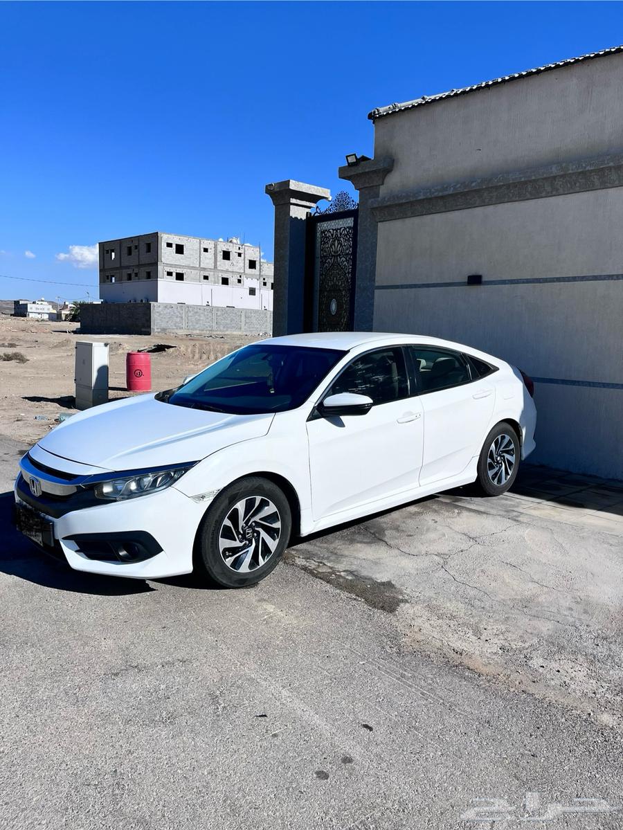 Seyfak 201763800670774530113