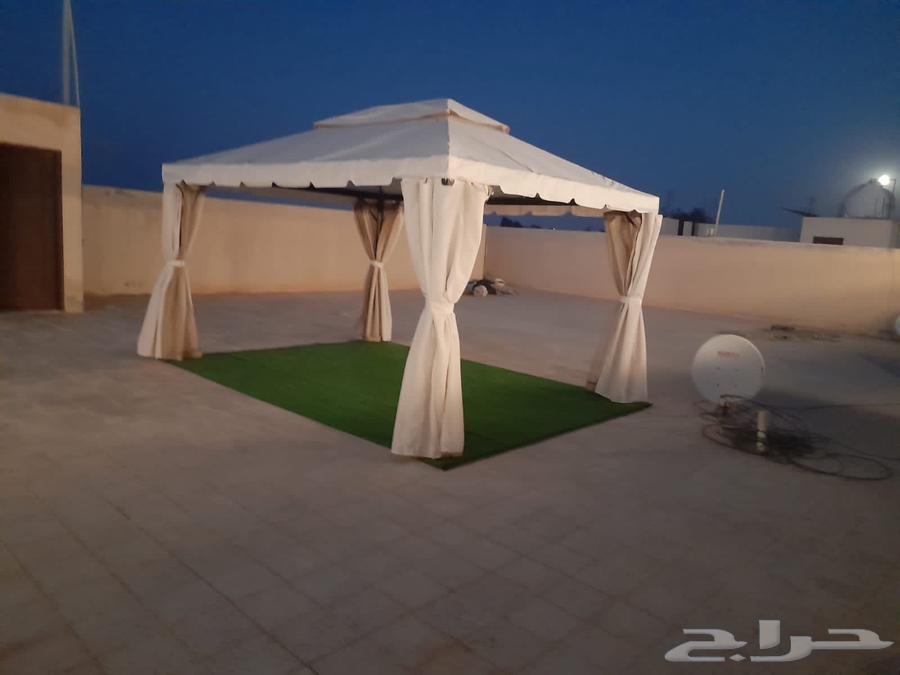 New umbrellas63709285058049113