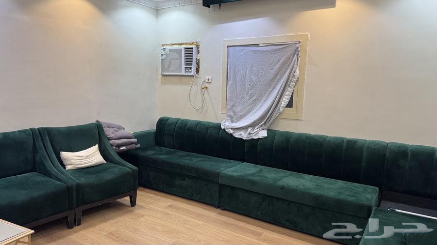 كنب اخضر نظيف63706385517057110
