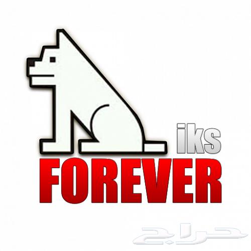 Don't just live it, experience it with Forever63713384345474110