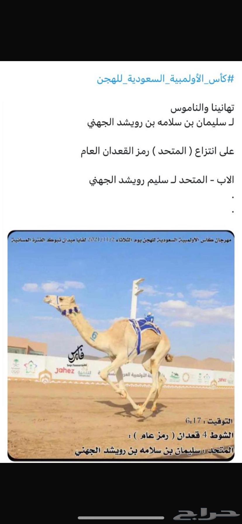 للبيع بكرة حورة شكل فحل وسلالة طيبة63709748095361111