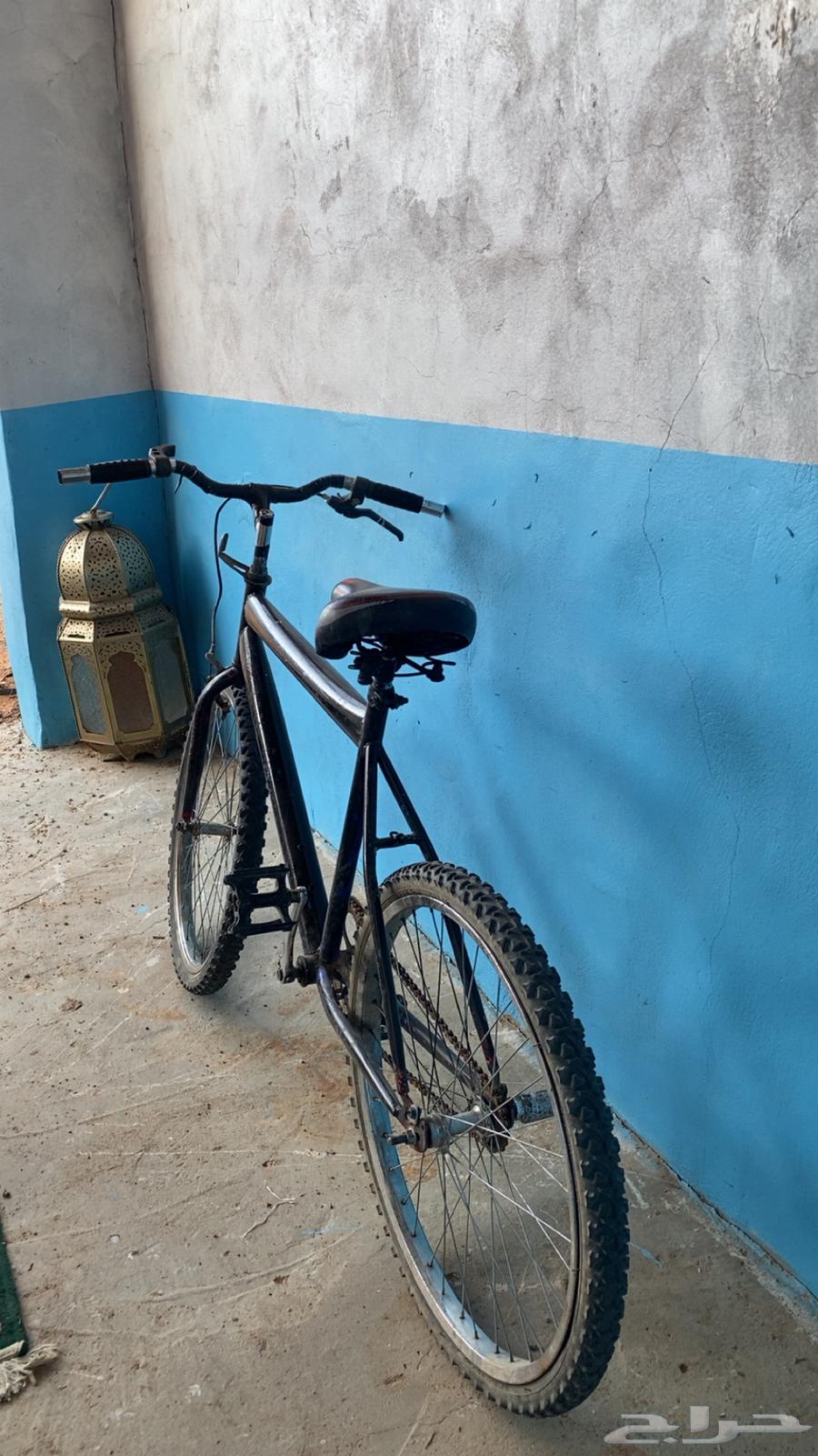 سيكل للبيع ب 13063719494009217112