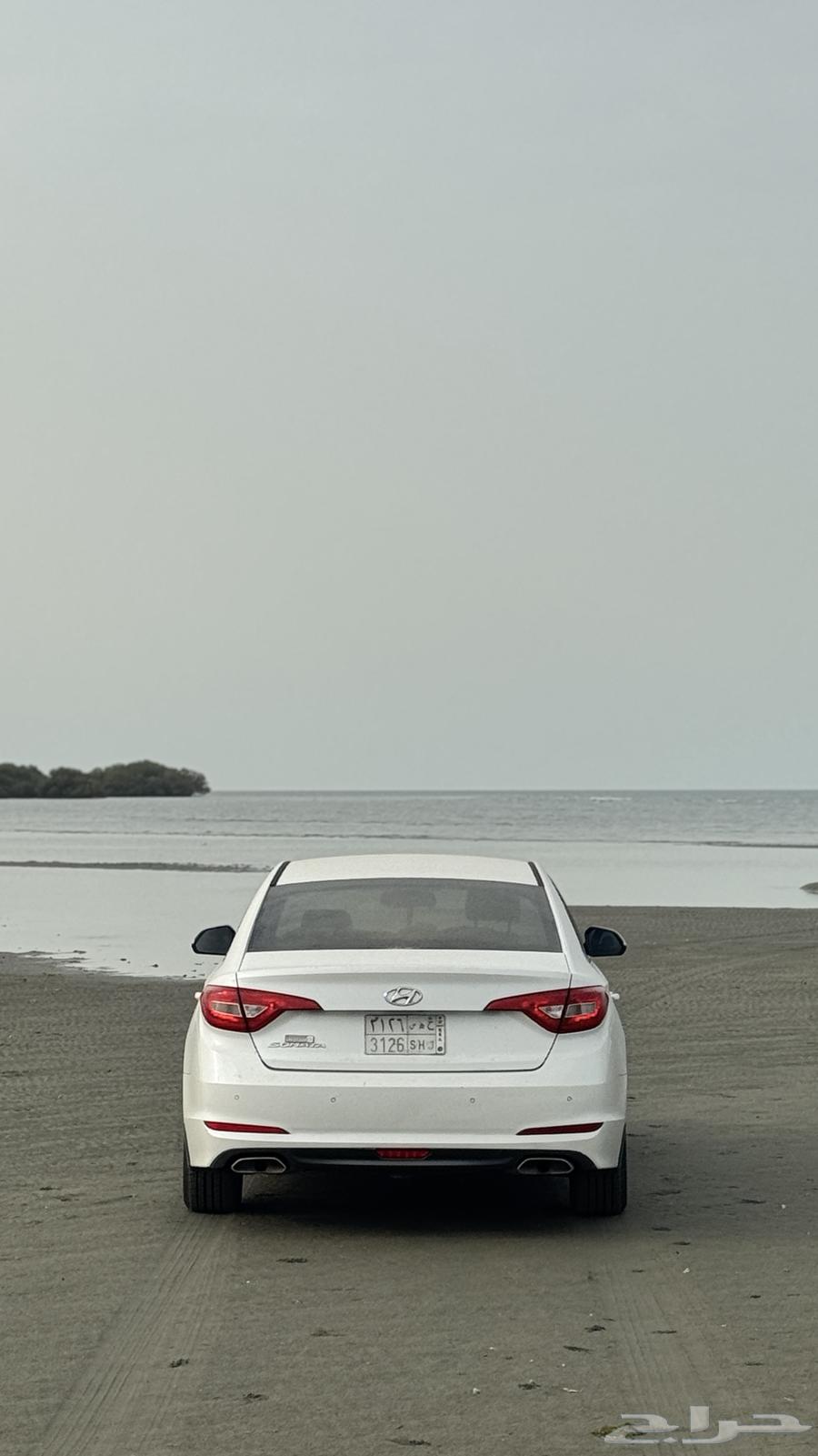 2017 Sonata Half Full for Sale63803388498051111