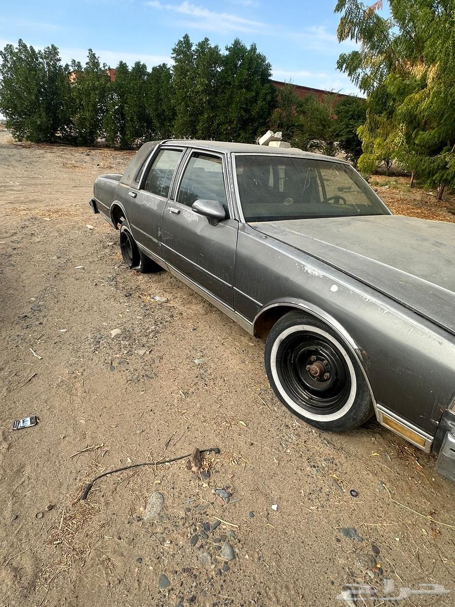 Caprice 198963818776267137110