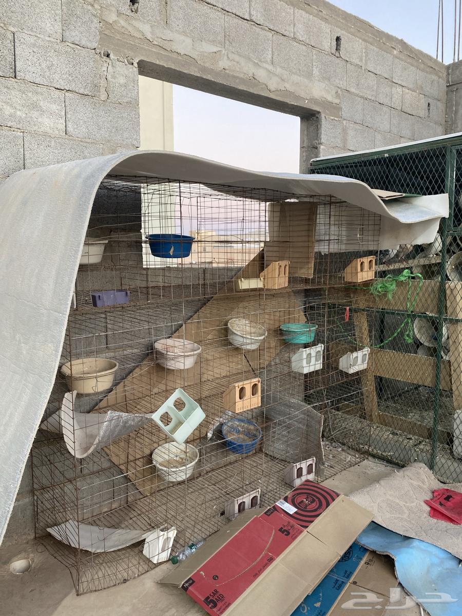 Three Al-Muhakir properties for sale in Qurayyat63722151486849110