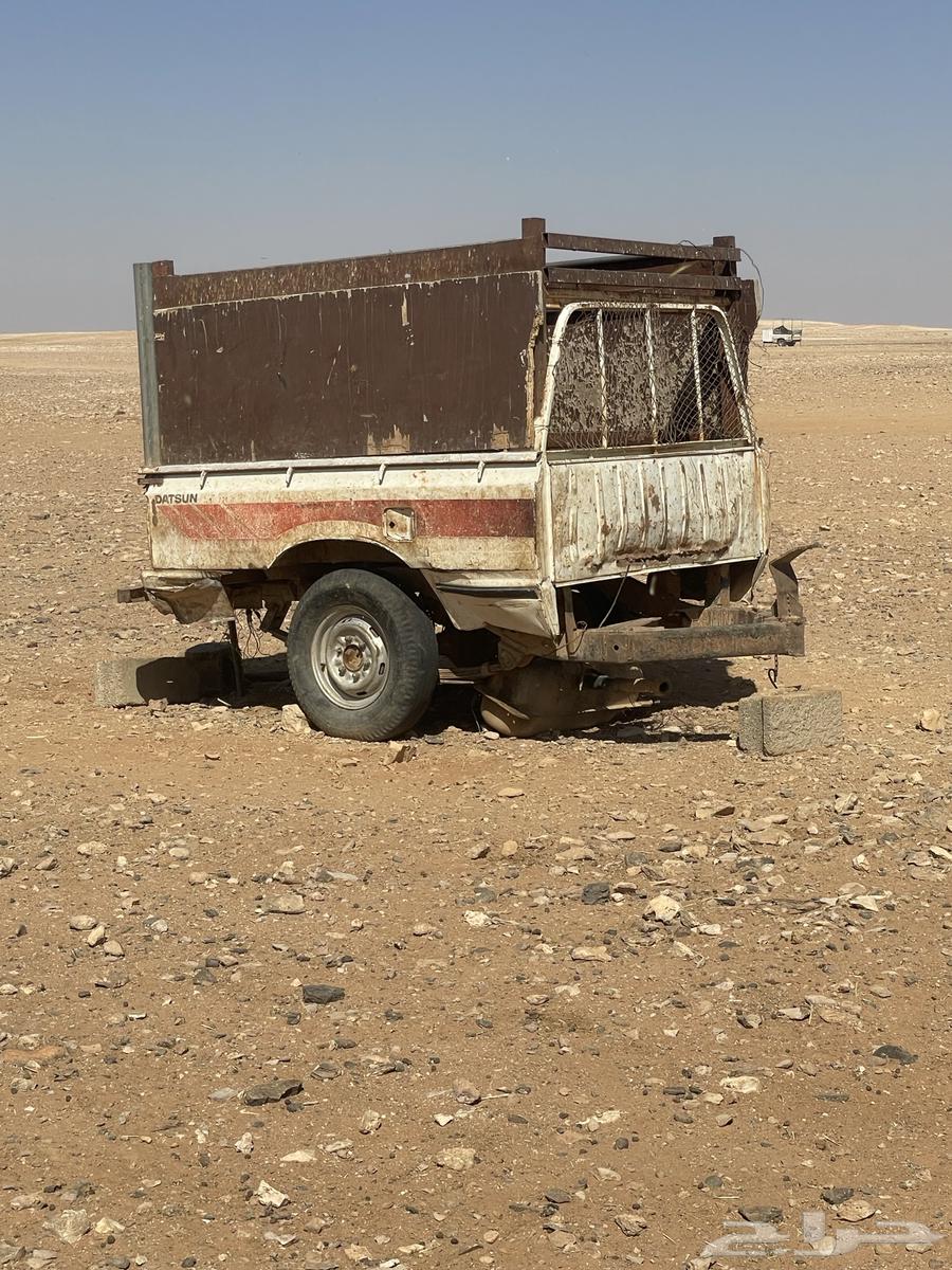 قلص للبيع63724459833474112