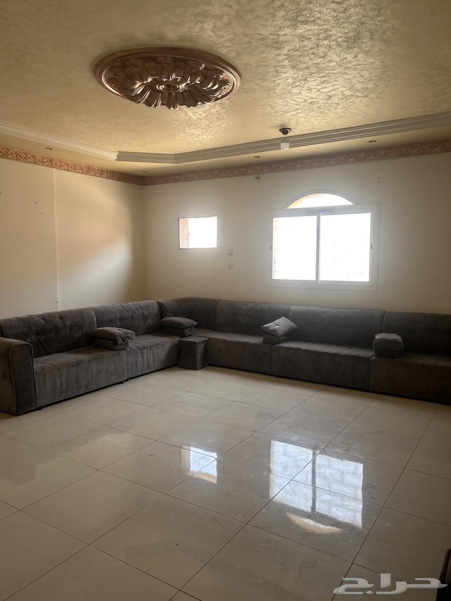 كنب متصل للبيع63720756813059111