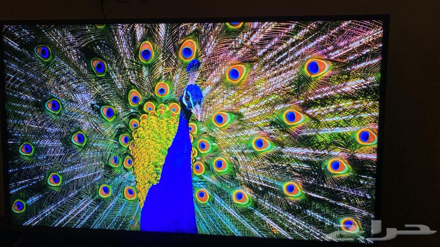 LG New Choice Screen TV LG Smart TV from LG63655326249987113