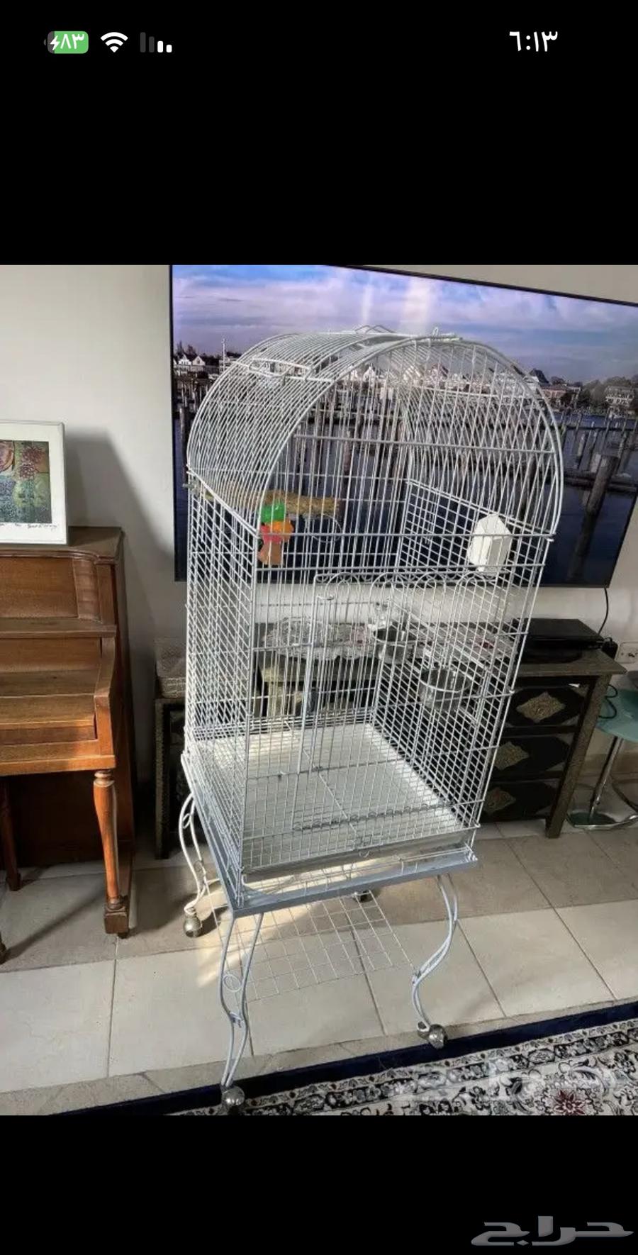 قفص طيور نضيف جدا مستعمل فتره بسيطه63722707019907111