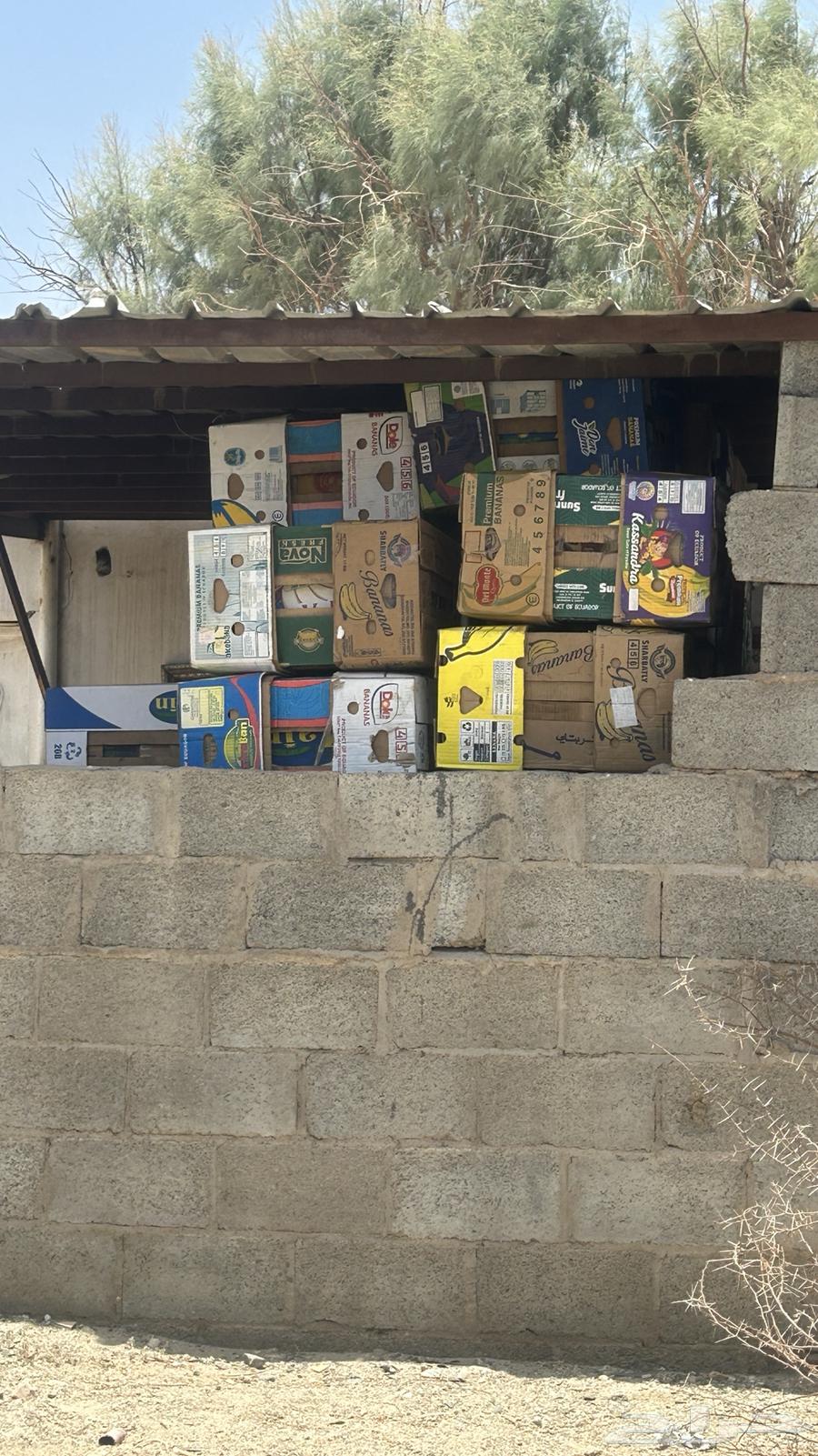 Empty banana cartons. Clean63736503457665110