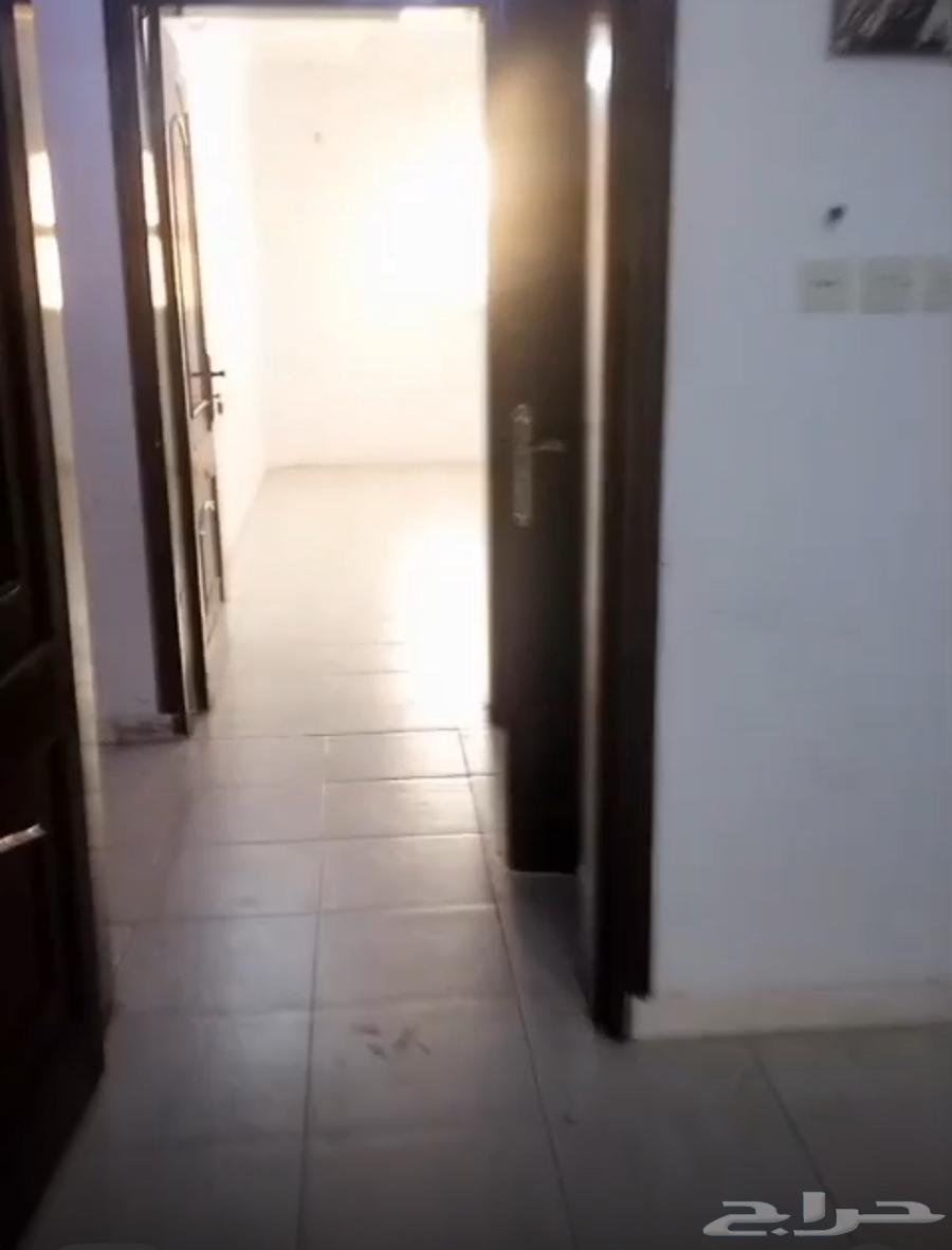 شقة للإيجار