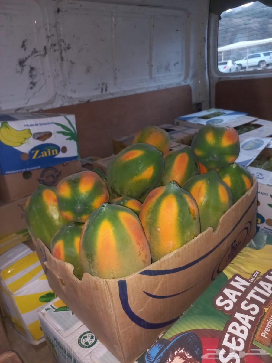 (عمبروت) بابايا63731439053058111