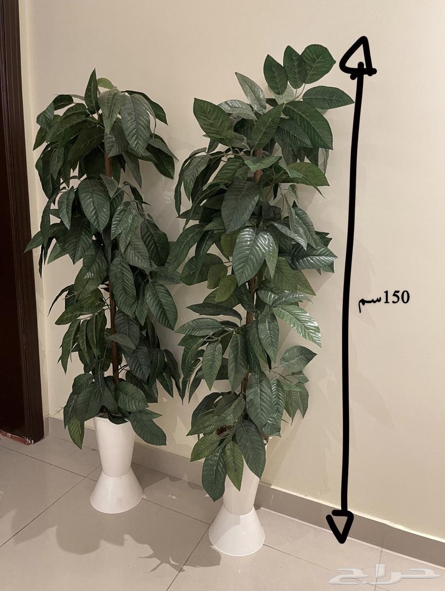 Artificial tree63728613045251110