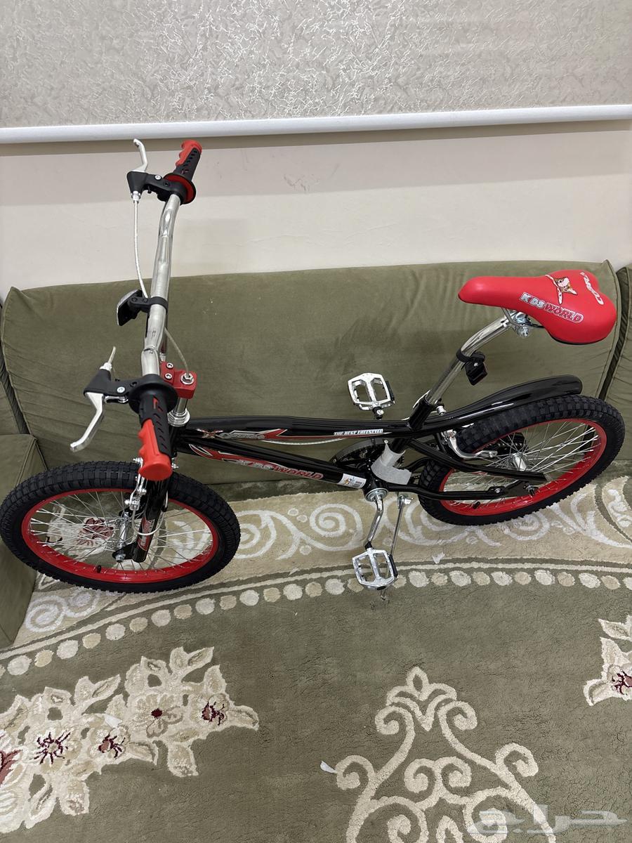New unused Cobra bike, size 20, price 360, contact privately63729005449603111