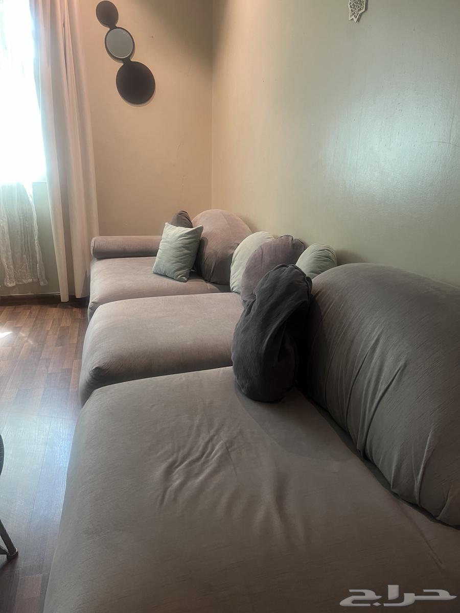 كنب حرف l من ميداس شبه جديد للبيع63736318885505110