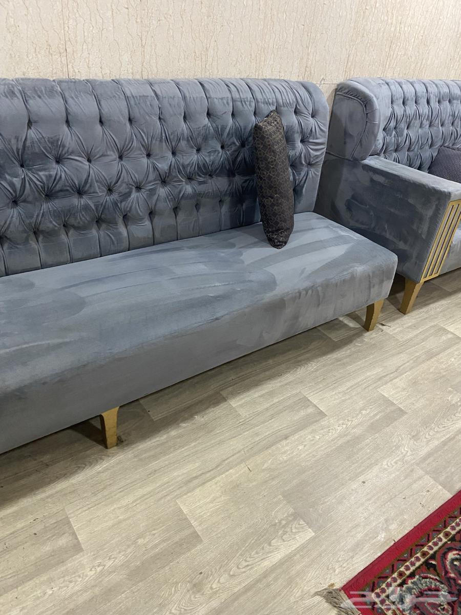 Sofa, Carpet Cleaning and Pest Control Company63613025910019113