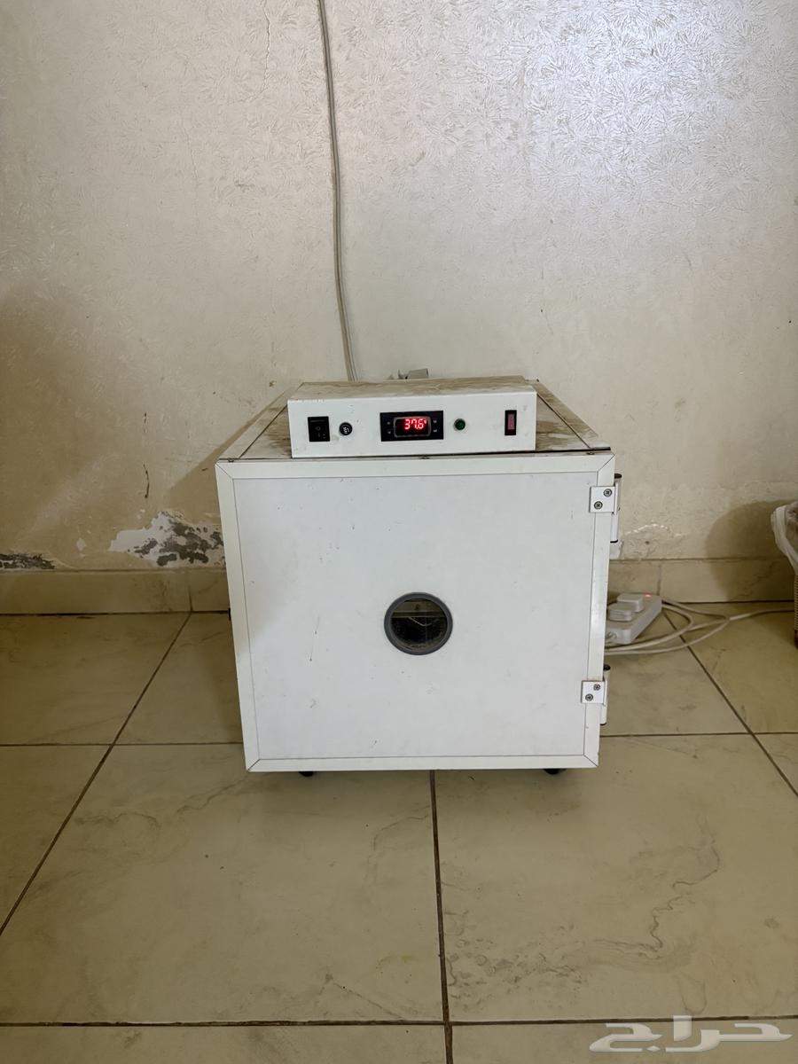 Incubator for sale63738181489155112