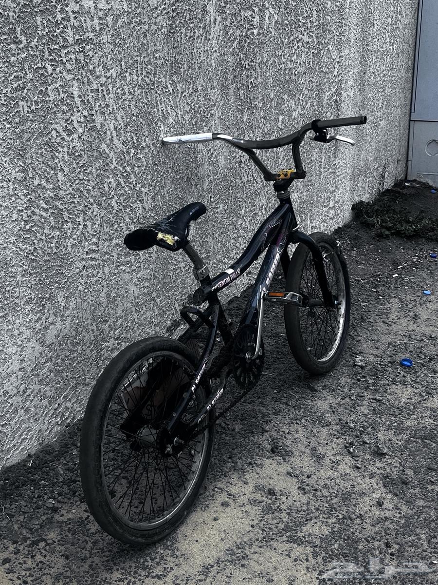 Cyclone Cobra63734420759297112