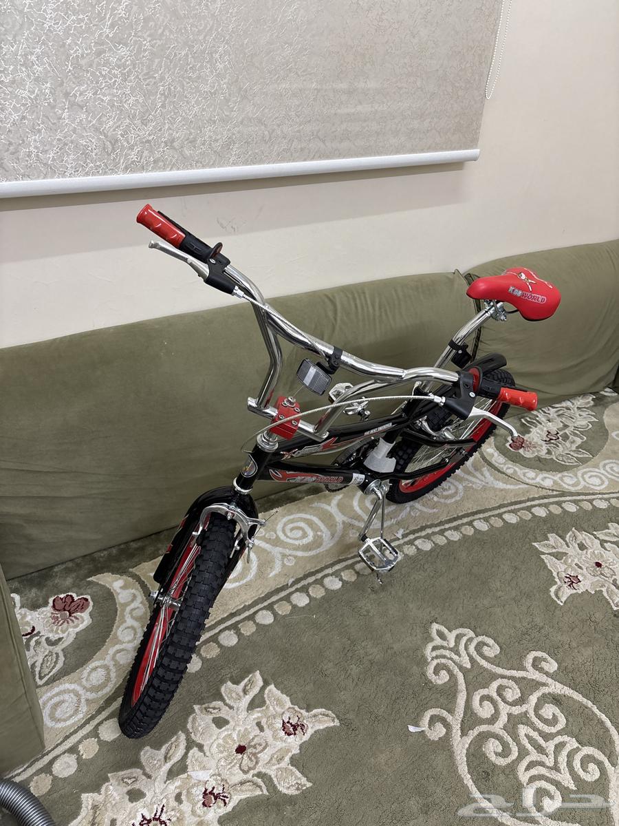 New unused Cobra bike, size 20, price 360, contact privately63729005449603110