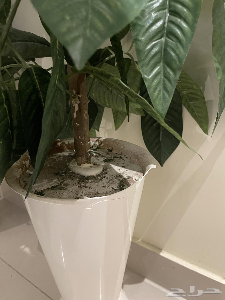 Artificial tree63728613045251112