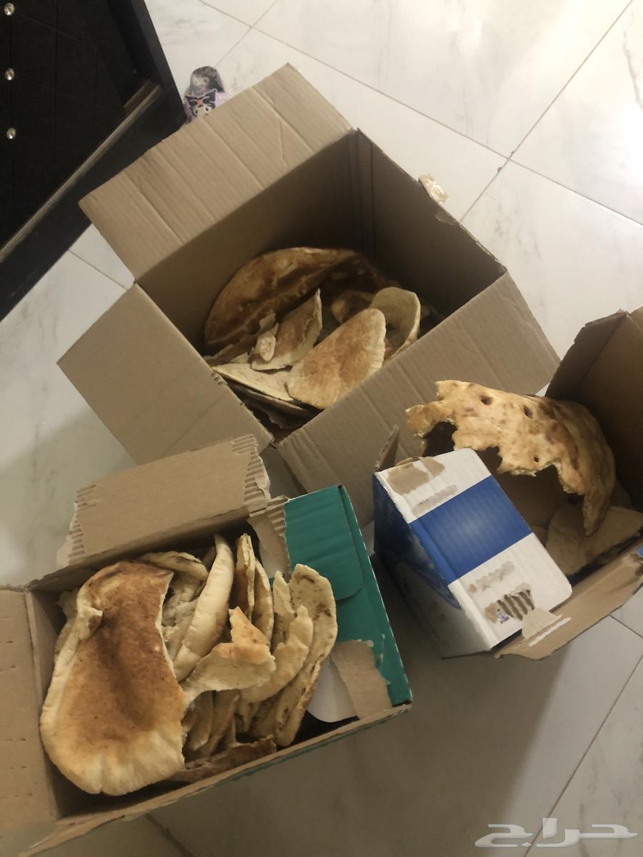خبز ناشف للاغنام63733956647042110