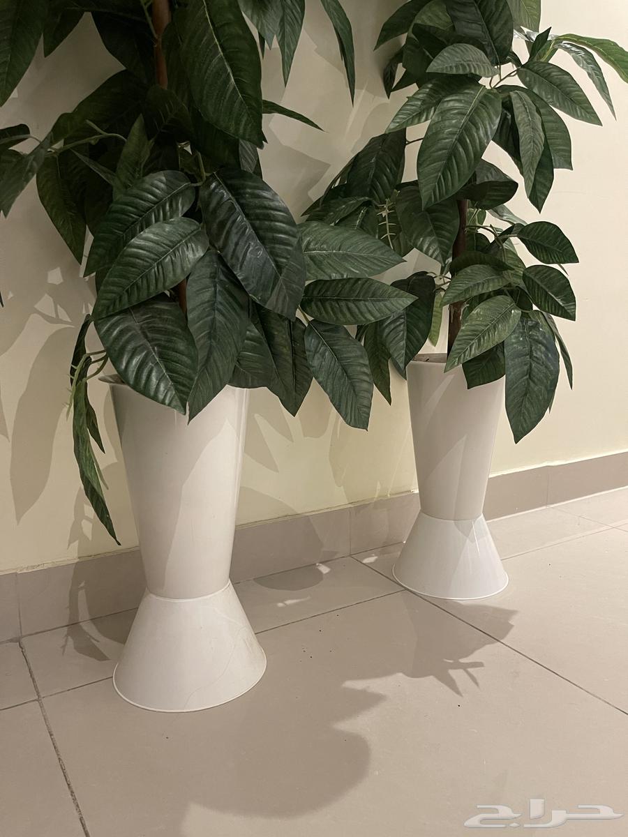 Artificial tree63728613045251111