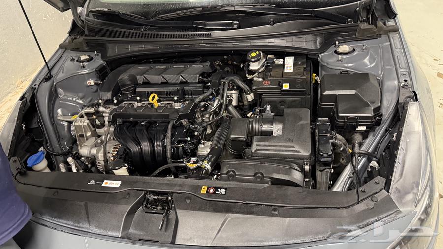 Elantra 202363667522303875111