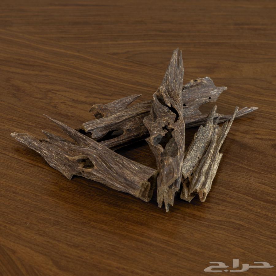 عود هندي نقوة بسعر منافس63738741321474110