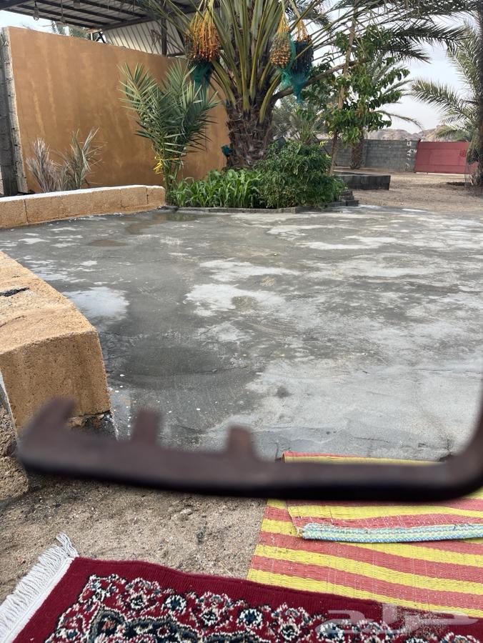 مفتاح باب خشب قديم له اكثر من مية عام (100)عام63735474069377112