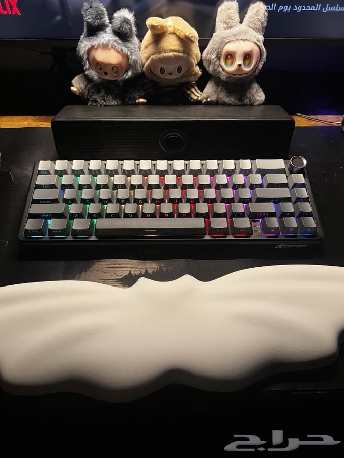 Keyboard Attack Shark63735086268675111