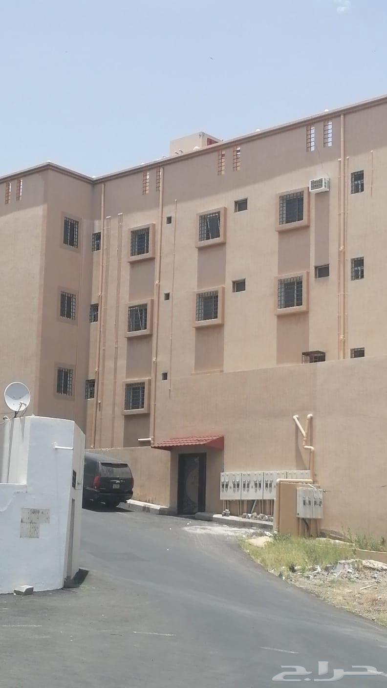 عمارة للإيجار