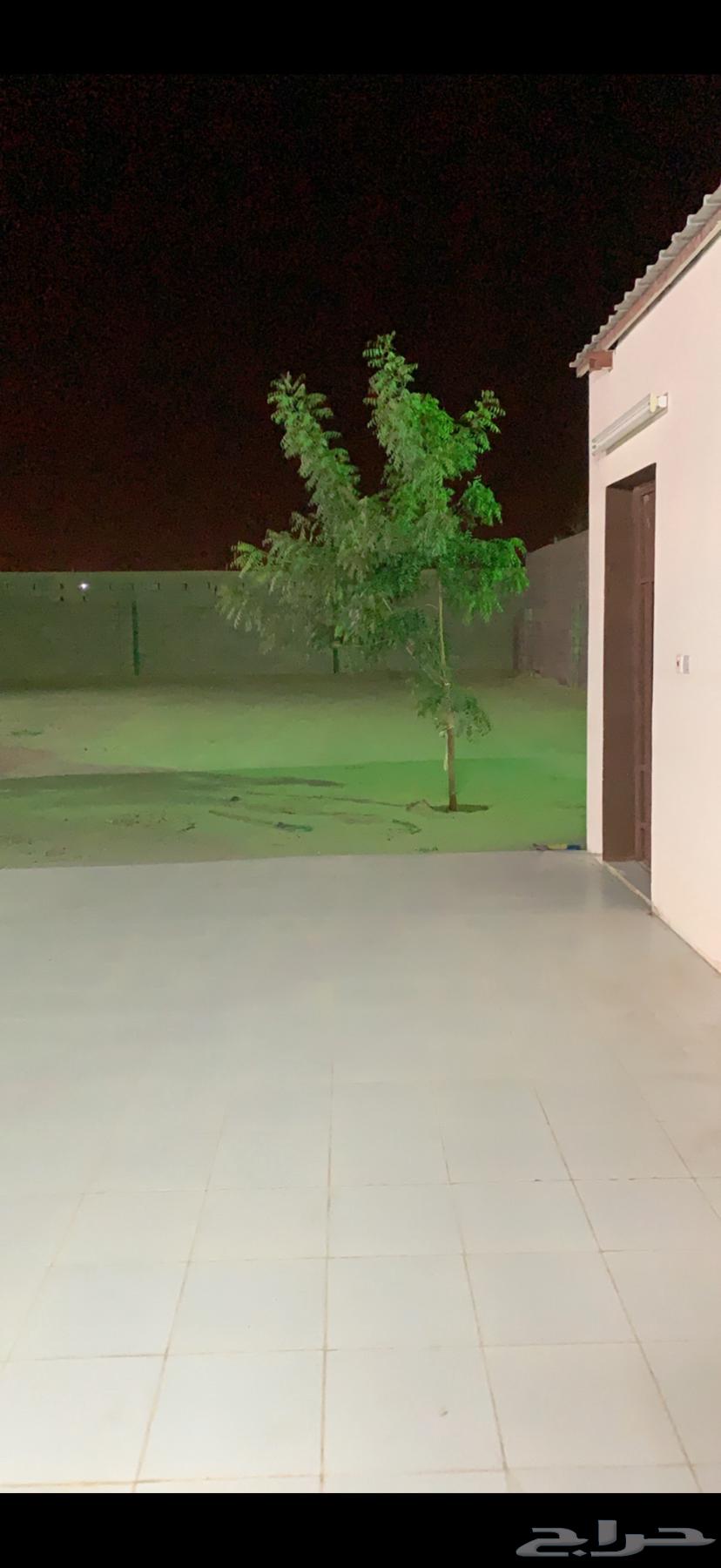 استراحة للايجار ( بيشه) داخل حوش مساحته 1200م63612284916483110