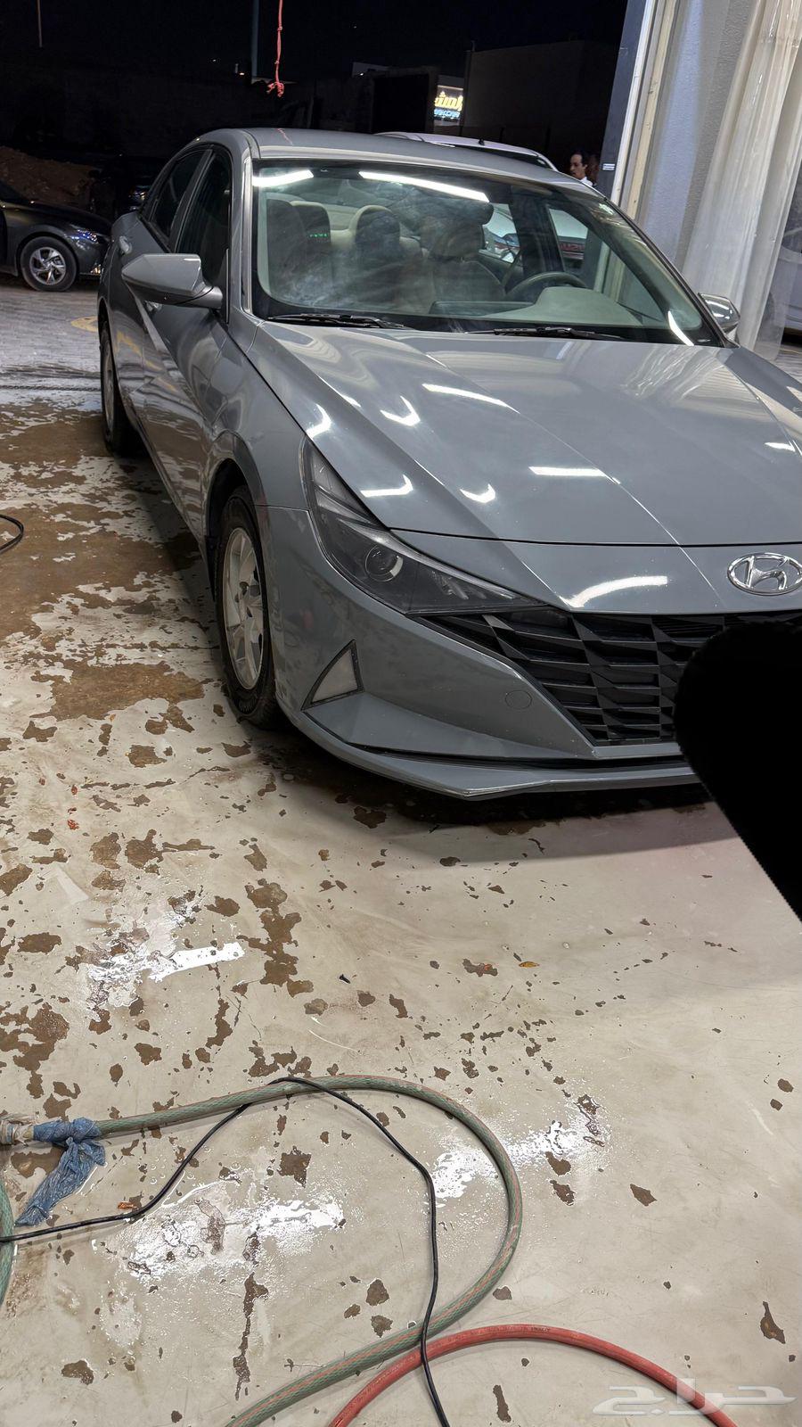 Elantra 202363667522303875114