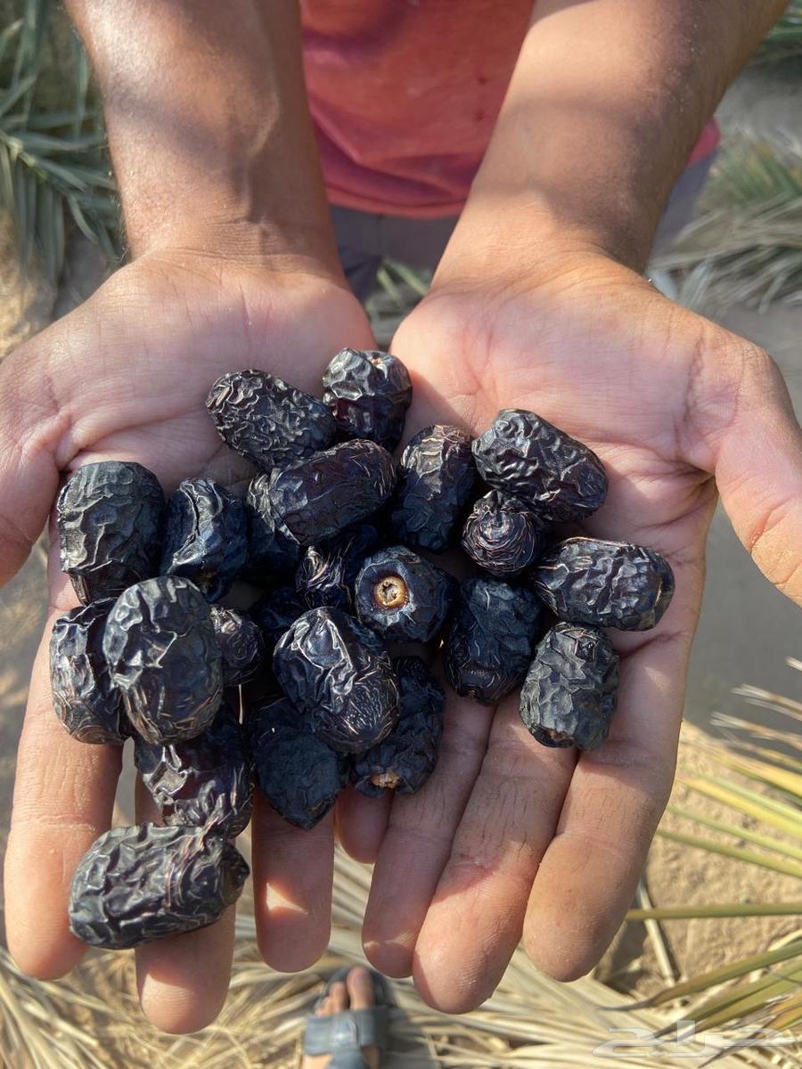 Premium Ajwa Dates63733211048322110
