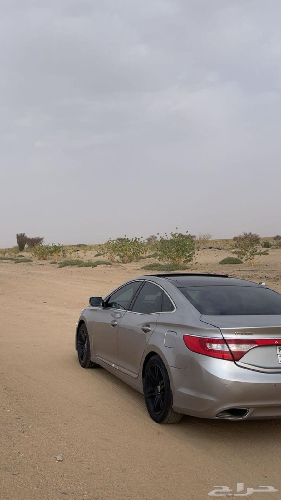 Taif63843974328963114