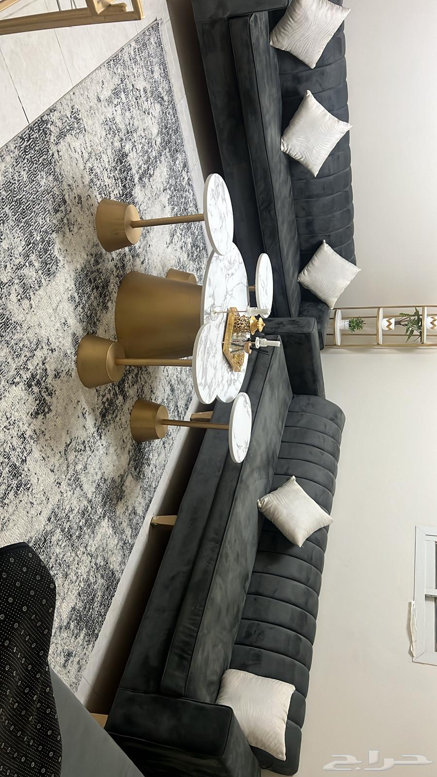 Clean sofa, carpet, and table63739809828098110