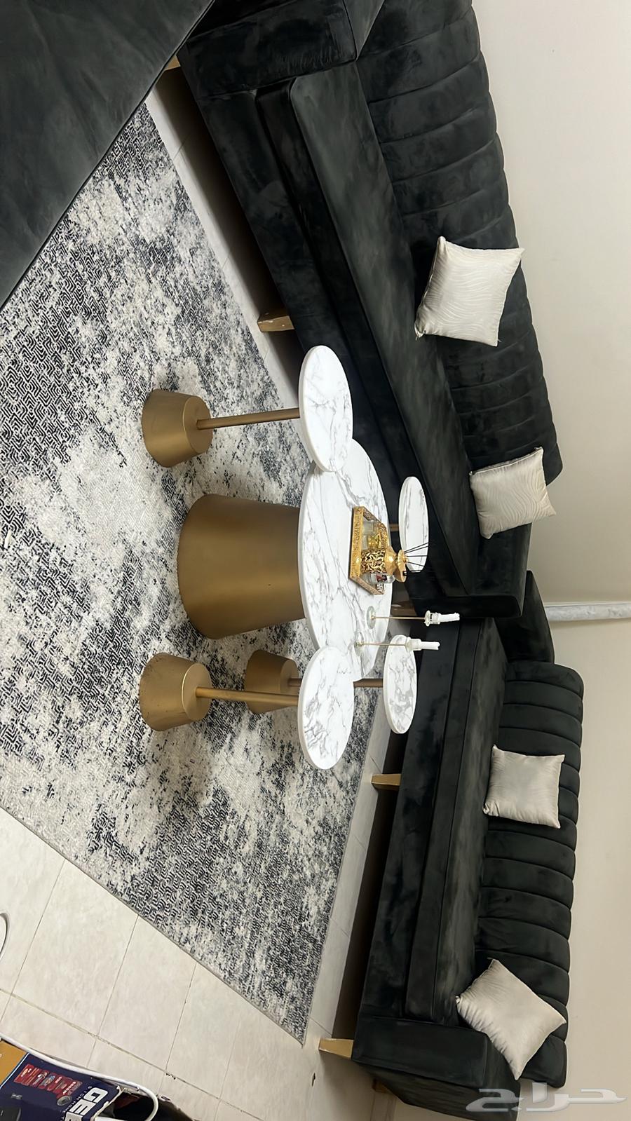 Clean sofa, carpet, and table63739809828098111