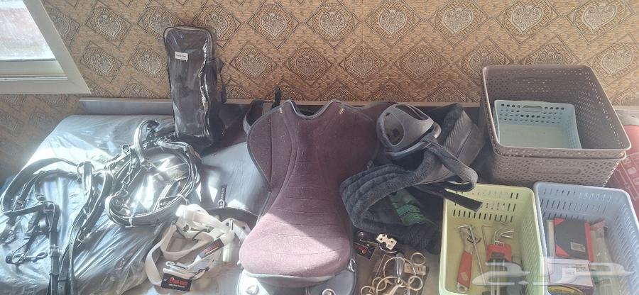سرج خيل كامل شبه جديد63746586387841111