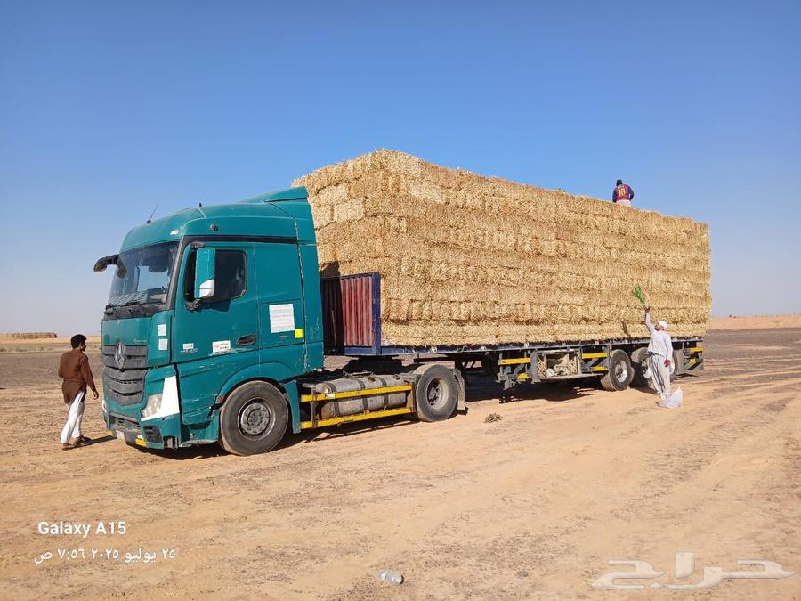 تبن بر شد طيب (الدفع عند الوصول )63742260504578110
