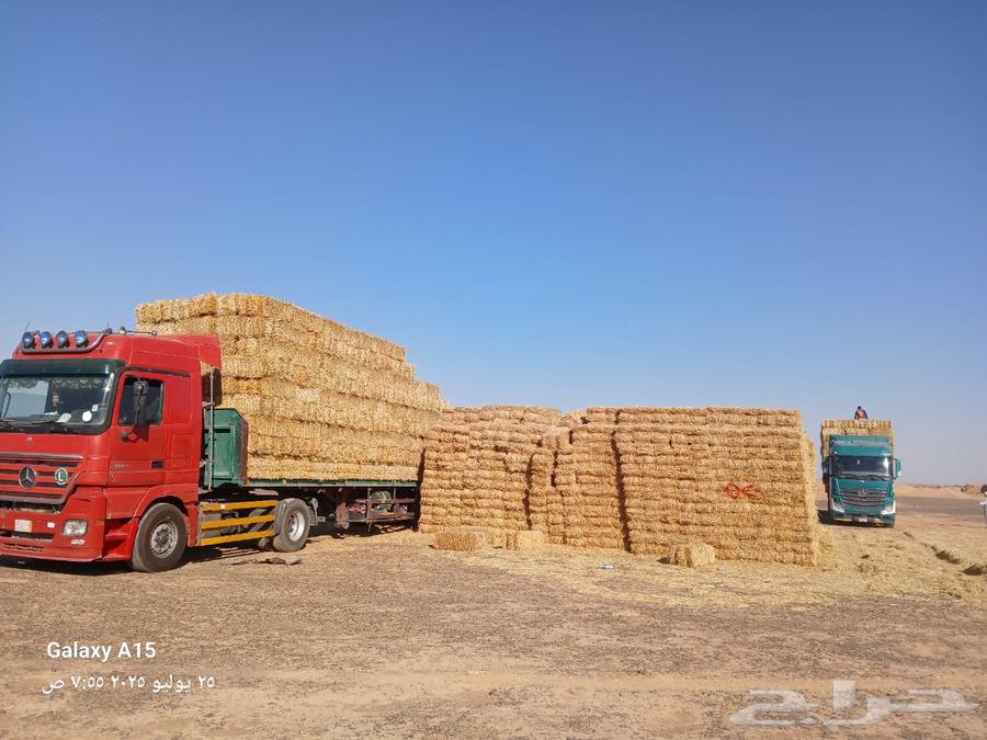 تبن بر شد طيب (الدفع عند الوصول )63742260504578111