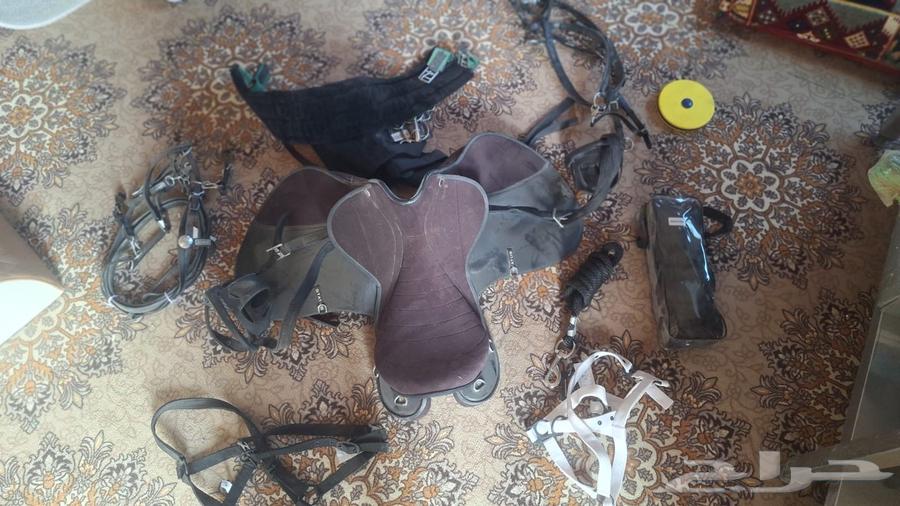 سرج خيل كامل شبه جديد63746586387841110