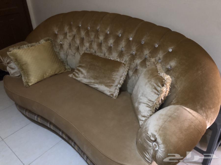 للبيع كنبتين ذهبي قطيفة واسعة ومريحة63745349809283112