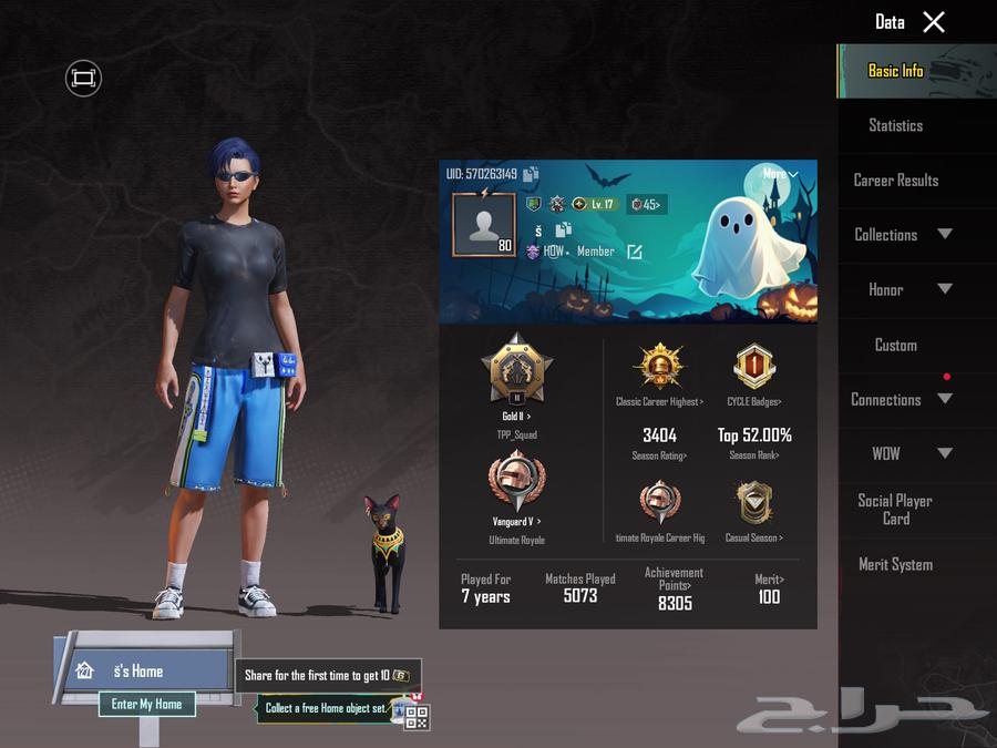 PUBG account level 80 group level 5963743012651522110
