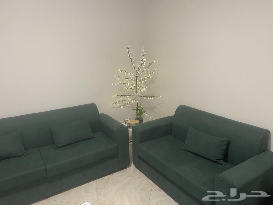 Sofa in very good condition63742914951811111