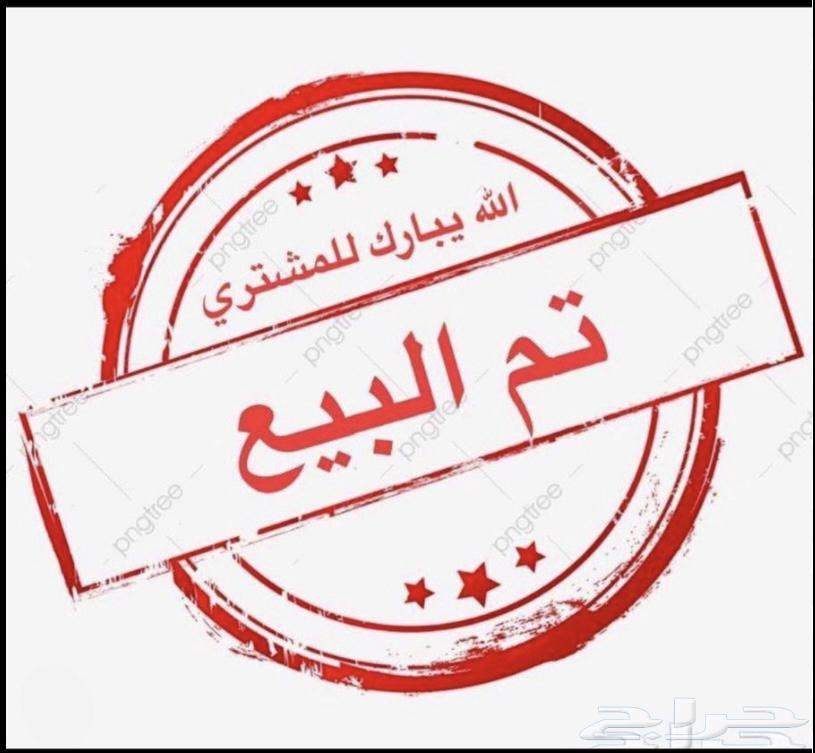 للبيع فرخ روز تركواز لهواة الغر والهدد تم البيع63719498461570110