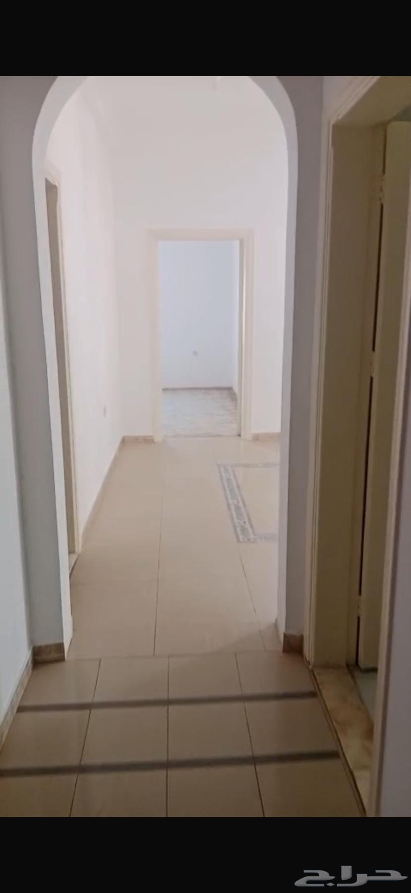 شقة للإيجار