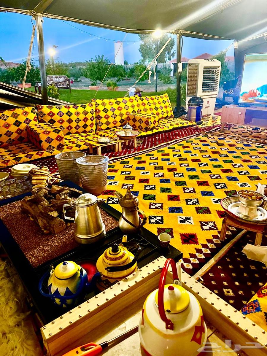 بستان للإيجار اليومي في حائل (القاعد) 10 آلاف متر63743959432963113