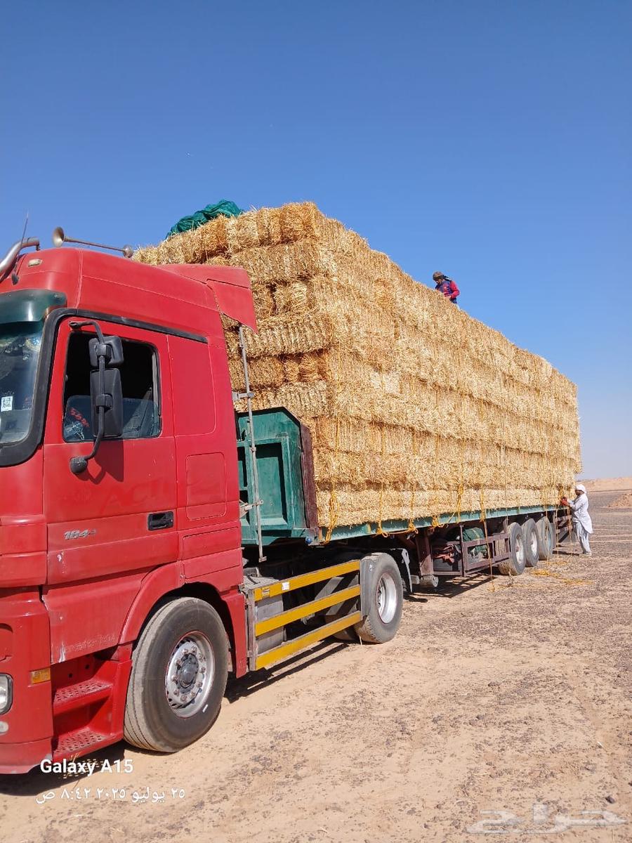 تبن بر شد طيب (الدفع عند الوصول )63742260504578112