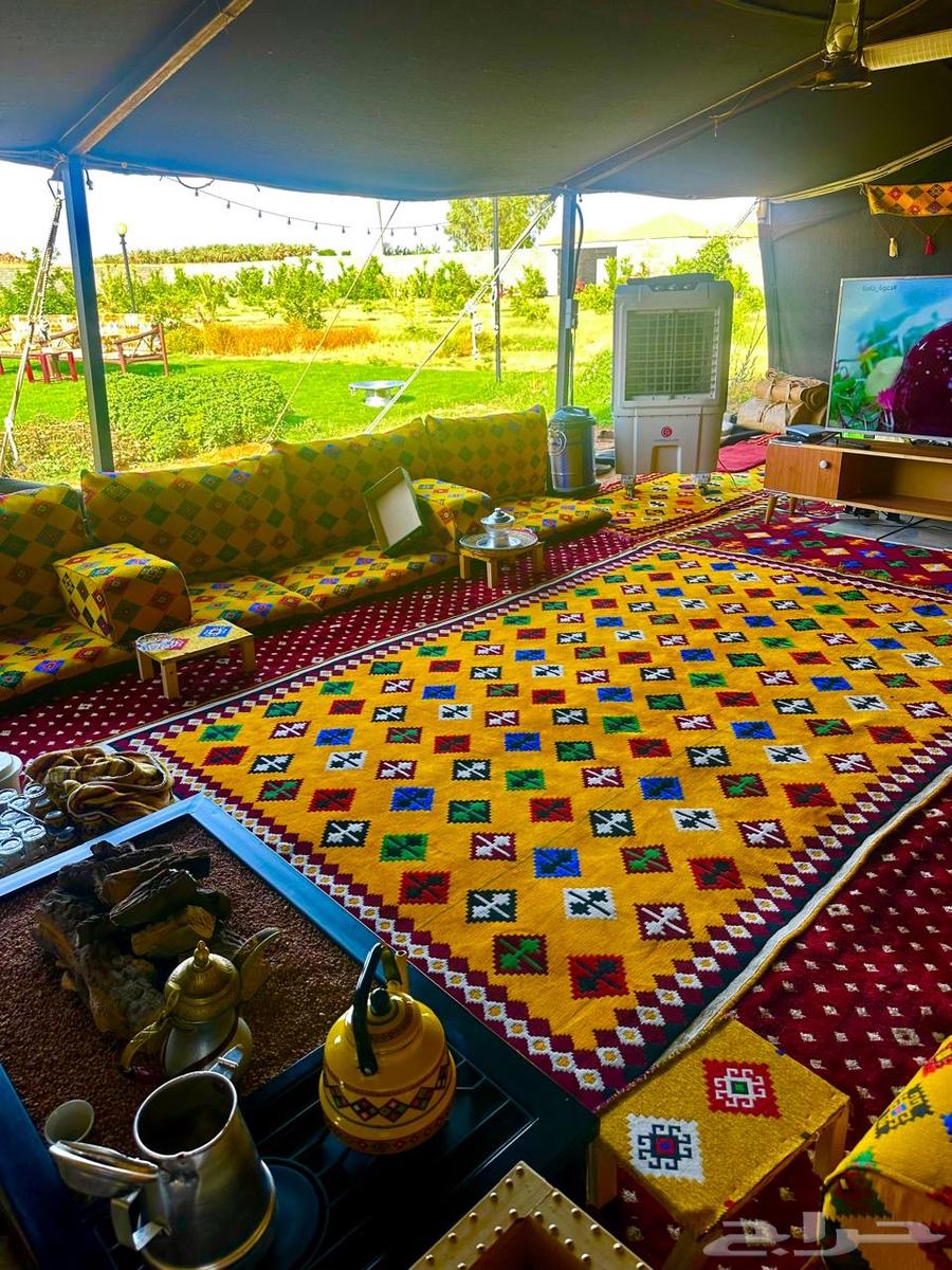 بستان للإيجار اليومي في حائل (القاعد) 10 آلاف متر63743959432963111