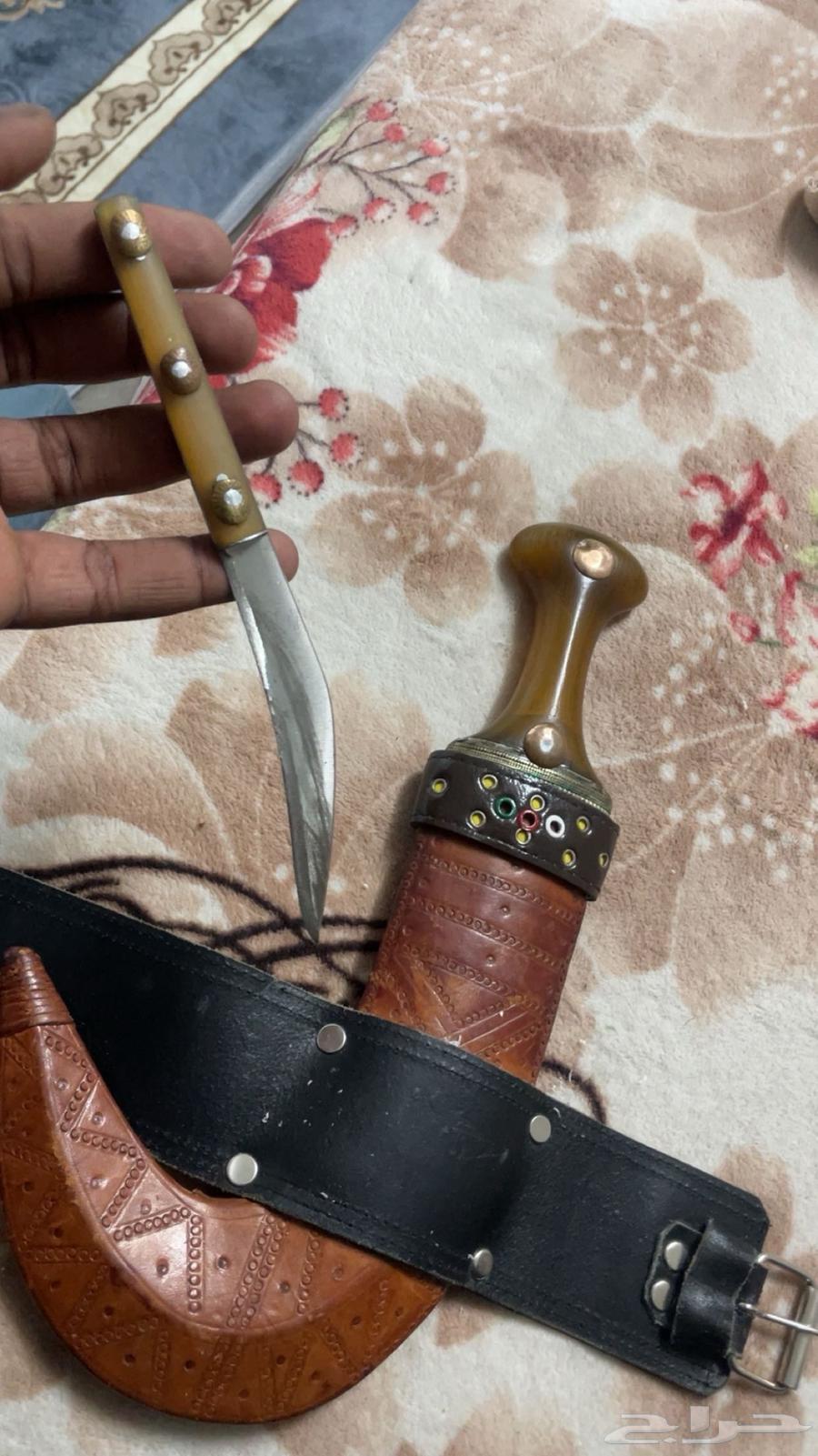 راس قرن كفو للبيع التواصل على الخاص63751187249923112